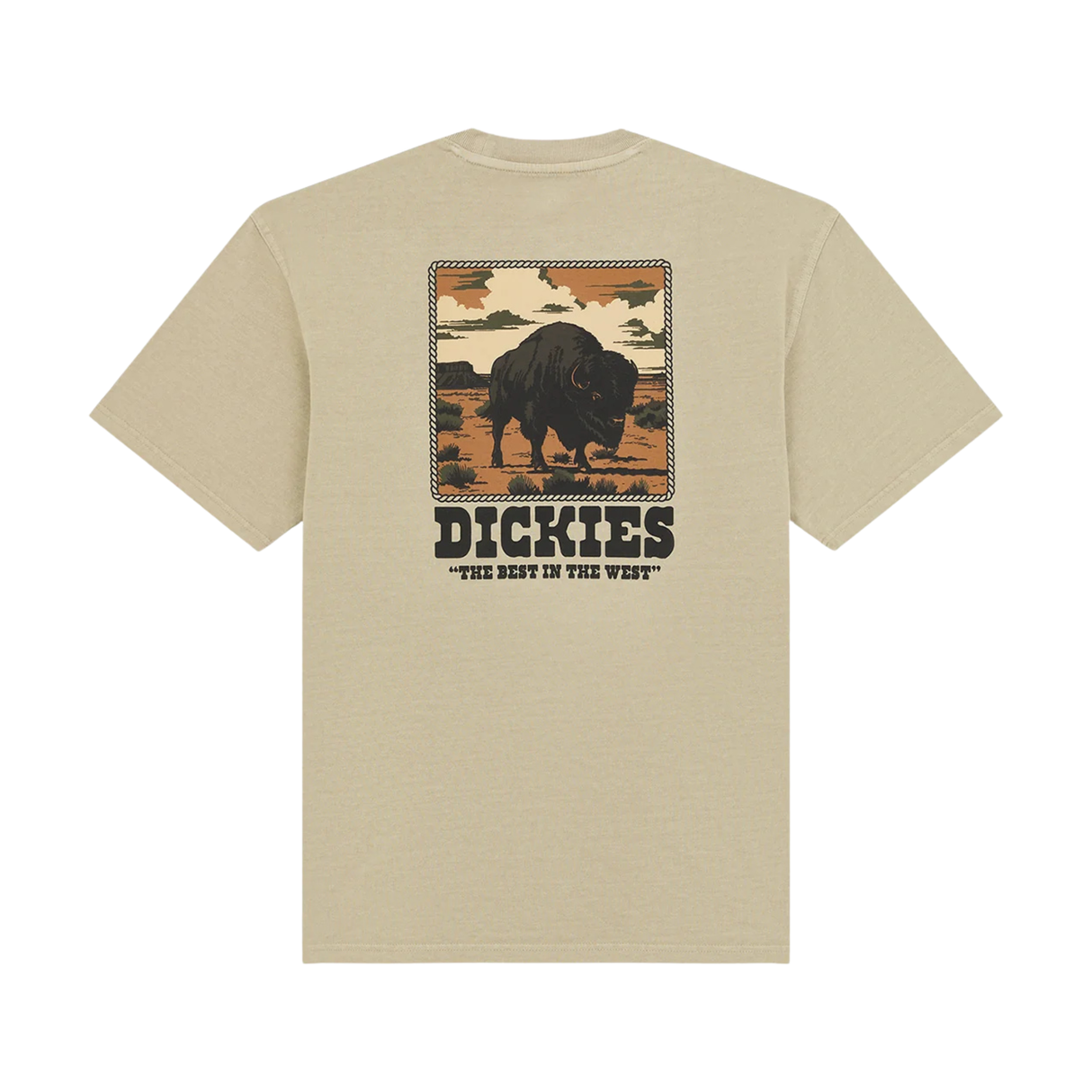 Dickies Darrtown T-Shirt - Eucalyptus