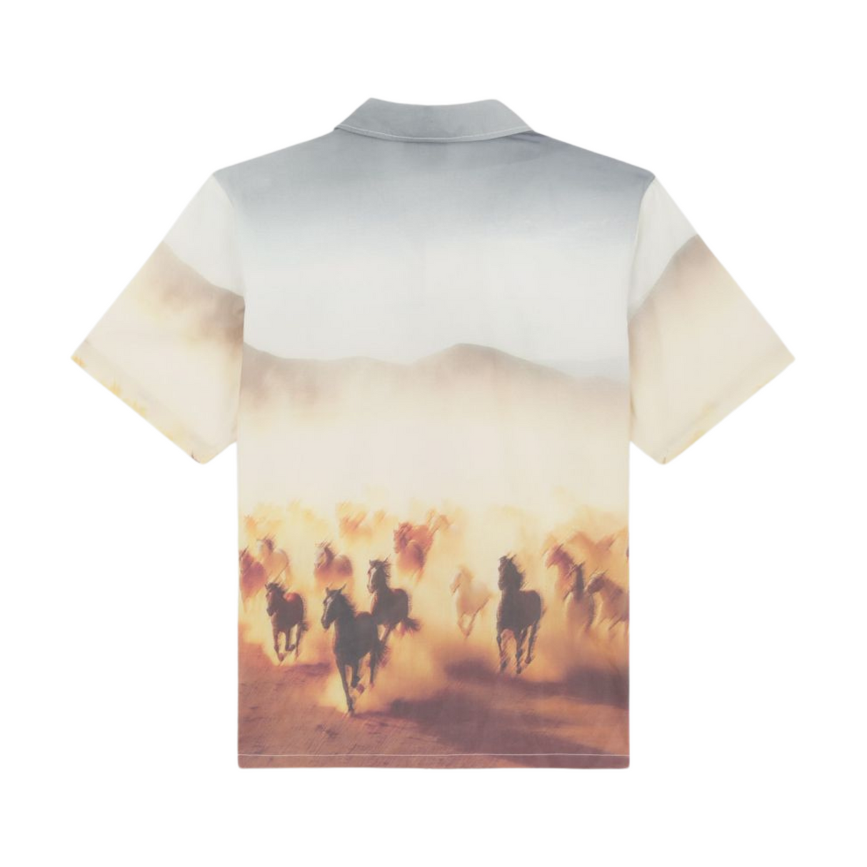 Dickies Running Wild Graphic Shirt - Oak Buff