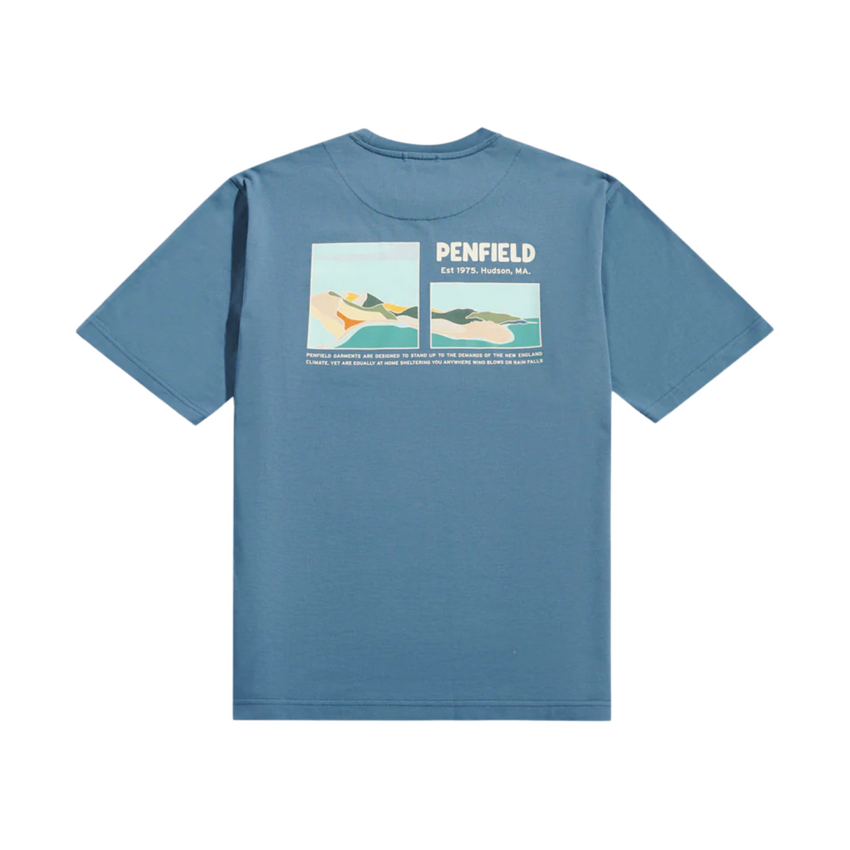 Penfield Block Landscape T-Shirt - Blue Fusion