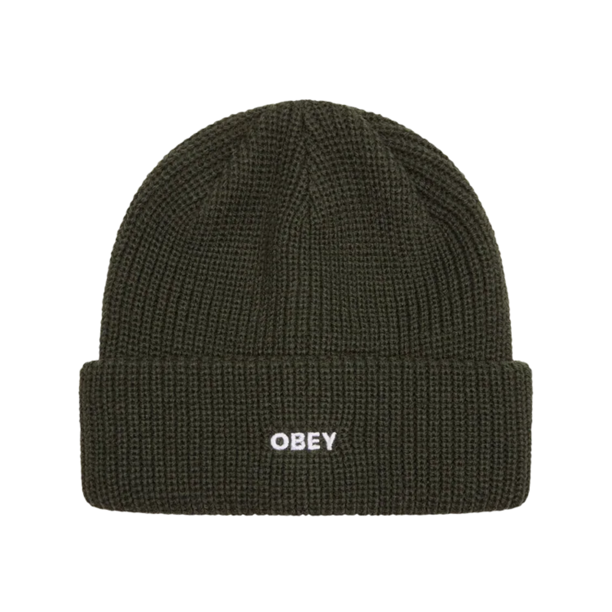 OBEY Future Beanie - Black Olive