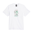 Adidas Skateboarding Push T-Shirt - White