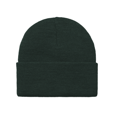 Carhartt WIP American Script Beanie - Dark Fir
