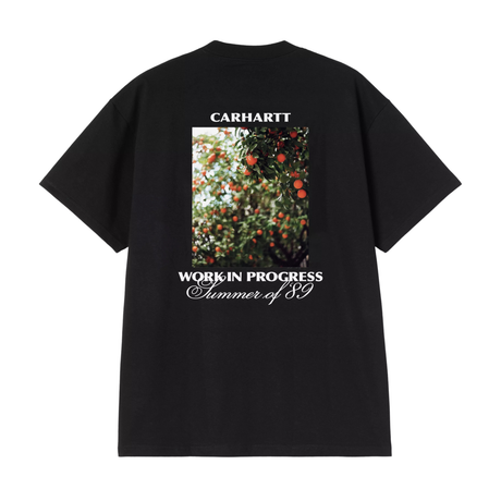 Carhartt WIP Warm Views T-Shirt - Black