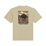 Dickies Darrtown T-Shirt - Eucalyptus