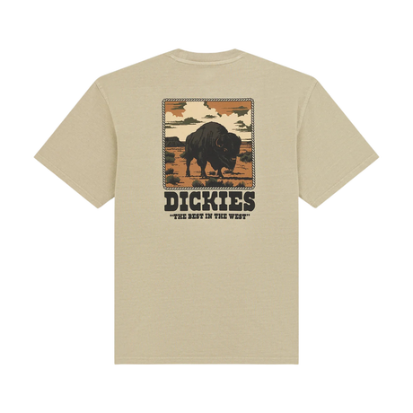 Dickies Darrtown T-Shirt - Eucalyptus