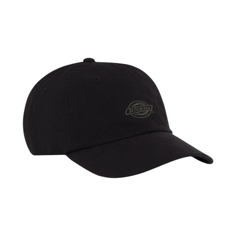 Dickies Duck Canvas Dad Hat Cap - Black