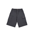Dickies Eagle Bend Cargo Shorts - Charcoal Grey