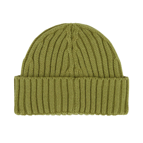 Dickies Lockwood Beanie - Evergreen