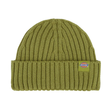Dickies Lockwood Beanie - Evergreen