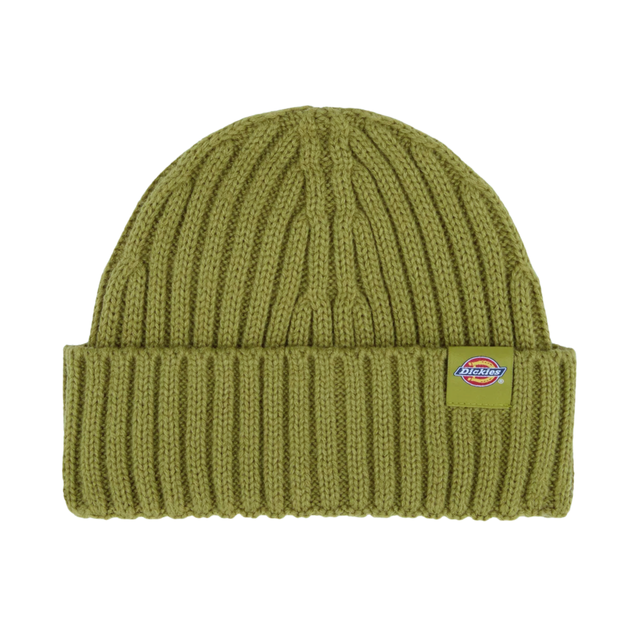 Dickies Lockwood Beanie - Evergreen