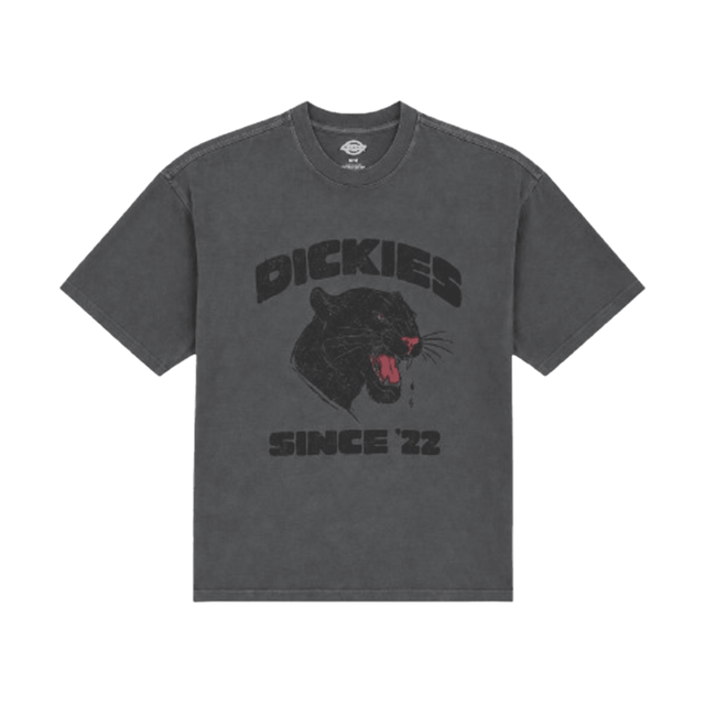 Dickies McDermitt T-Shirt - Charcoal