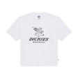 Dickies Pine T-Shirt - White