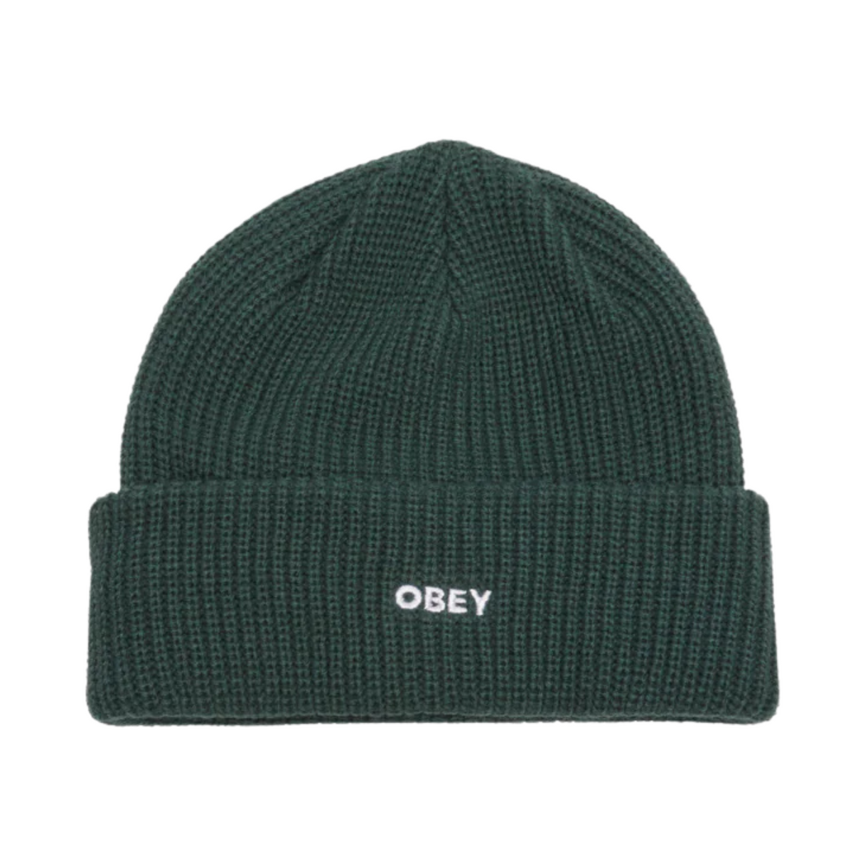 OBEY Future Beanie - Botanical Green