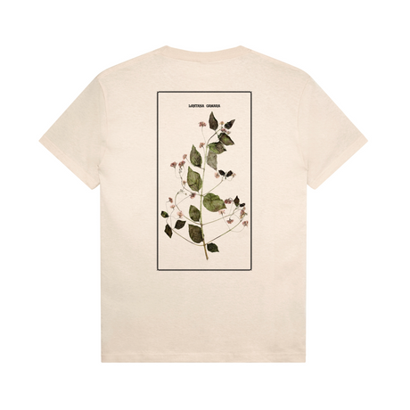 Pass Port Lantana T-Shirt - Natural