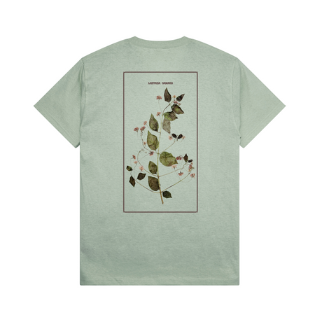 Pass Port Lantana T-Shirt - Stonewash Green