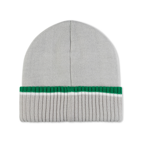 RIPNDIP Lord Nermal Team Spirit Beanie - Green / Grey