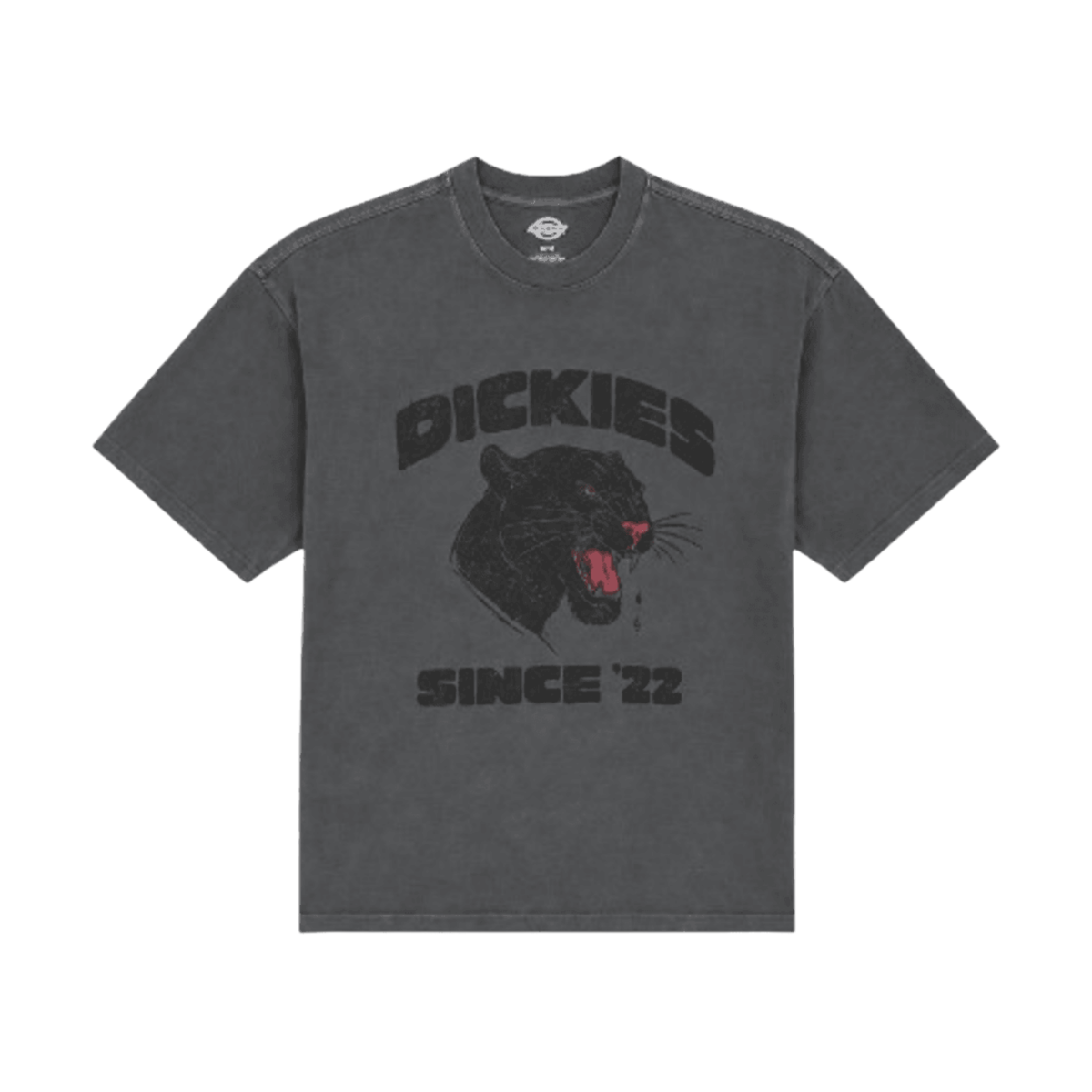 Dickies McDermitt T-Shirt - Charcoal