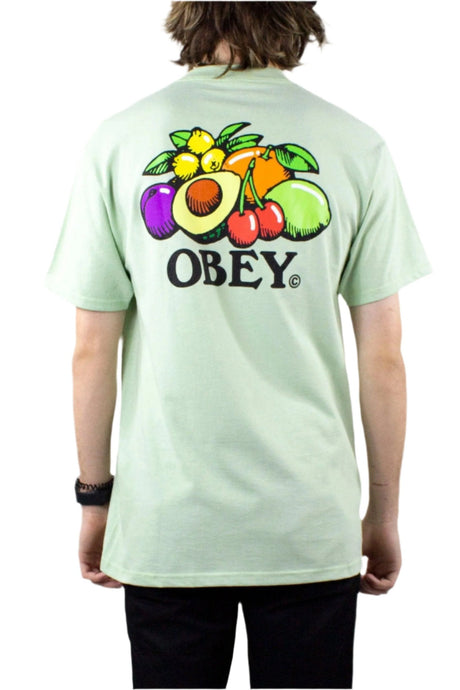 OBEY Bowl of Fruit T-Shirt - Cucumber