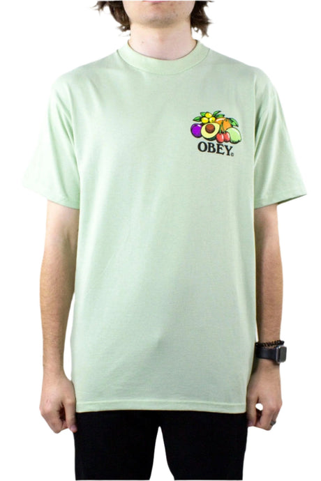 OBEY Bowl of Fruit T-Shirt - Cucumber