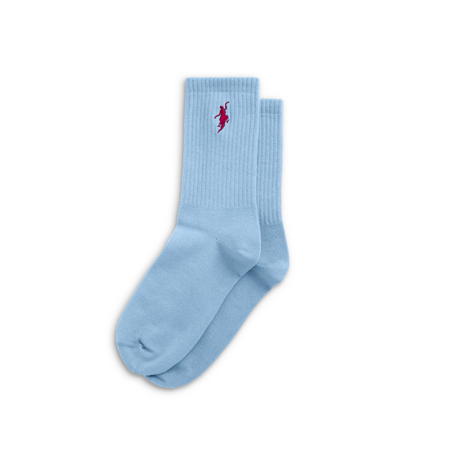 Polar Skate Co. No Comply Socks – Light Blue / Cherry